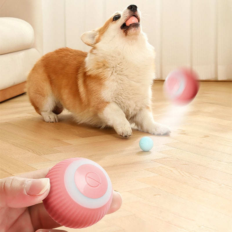 MyFamily Electric Pet Smart Ball